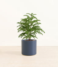 Load image into Gallery viewer, Deep Navy*****Profile