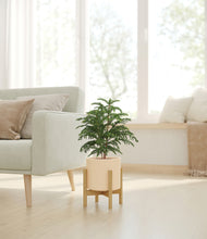 Load image into Gallery viewer, Cream stand:bamboo