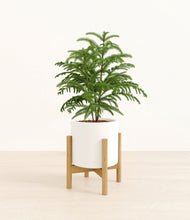 Load image into Gallery viewer, White stand:bamboo