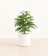 Load image into Gallery viewer, White*****Profile