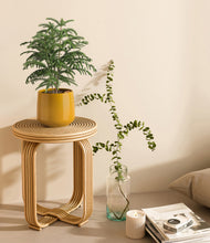 Load image into Gallery viewer, Mustard