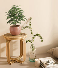 Load image into Gallery viewer, Calm Rose