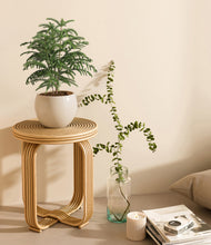 Load image into Gallery viewer, Shiny EggWhite