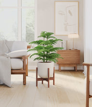 Load image into Gallery viewer, Natural Bamboo stand:walnut