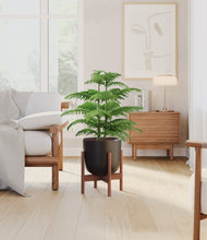 Load image into Gallery viewer, Stone Black stand:walnut