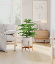 Load image into Gallery viewer, Natural Bamboo stand:bamboo