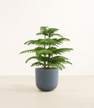 Load image into Gallery viewer, Iron Gray*****Profile