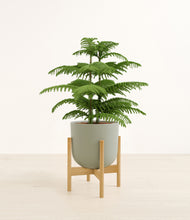 Load image into Gallery viewer, Sage Green stand:bamboo