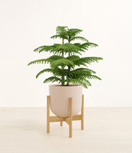 Load image into Gallery viewer, Sandy Pink stand:bamboo