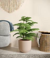 Load image into Gallery viewer, Sandy Pink