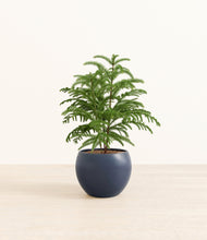 Load image into Gallery viewer, Deep Navy*****Profile