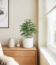 Load image into Gallery viewer, White