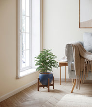 Load image into Gallery viewer, Deep Navy stand:walnut