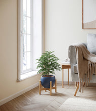 Load image into Gallery viewer, Deep Navy stand:bamboo