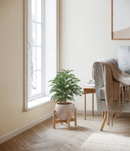 Load image into Gallery viewer, Desert Brown stand:bamboo