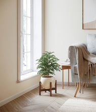 Load image into Gallery viewer, Shiny EggWhite stand:walnut