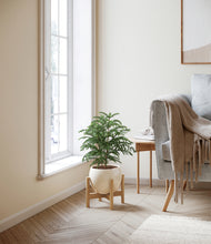 Load image into Gallery viewer, Shiny EggWhite stand:bamboo