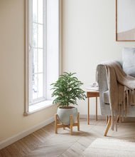 Load image into Gallery viewer, Deep Ocean stand:bamboo