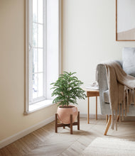 Load image into Gallery viewer, Calm Rose stand:walnut