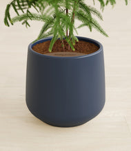 Load image into Gallery viewer, Deep Navy stand:all