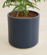 Load image into Gallery viewer, Deep Navy stand:all