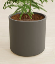 Load image into Gallery viewer, Dark Olive stand:all