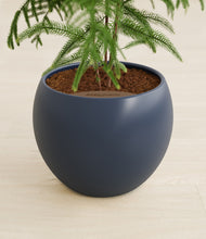 Load image into Gallery viewer, Deep Navy stand:all