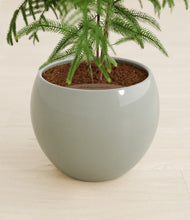 Load image into Gallery viewer, Deep Ocean stand:all