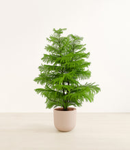 Load image into Gallery viewer, Sandy Pink*****Profile