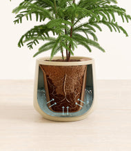 Load image into Gallery viewer, Almond Green stand:all