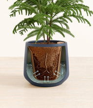 Load image into Gallery viewer, Deep Navy stand:all