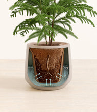 Load image into Gallery viewer, Eternal Gray stand:all