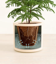 Load image into Gallery viewer, Cream stand:all