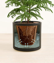 Load image into Gallery viewer, Black stand:all