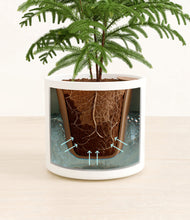 Load image into Gallery viewer, White stand:all