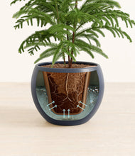 Load image into Gallery viewer, Deep Navy stand:all