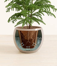 Load image into Gallery viewer, Desert Brown stand:all