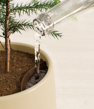 Load image into Gallery viewer, Almond Green stand:all