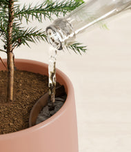 Load image into Gallery viewer, Calm Rose stand:all