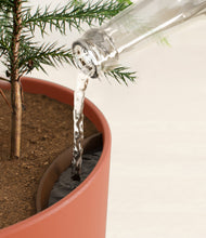 Load image into Gallery viewer, Earth Red stand:all