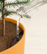 Load image into Gallery viewer, Sunset Orange stand:all