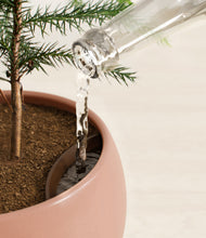 Load image into Gallery viewer, Calm Rose stand:all