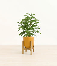 Load image into Gallery viewer, Sunset Orange stand:bamboo