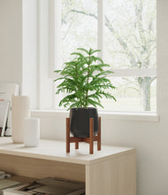 Load image into Gallery viewer, Black stand:walnut