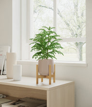 Load image into Gallery viewer, Eternal Gray stand:bamboo