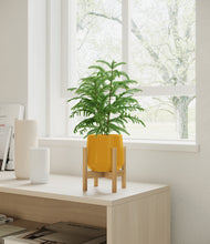 Load image into Gallery viewer, Mustard stand:bamboo