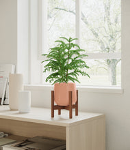 Load image into Gallery viewer, Calm Rose stand:walnut