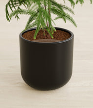 Load image into Gallery viewer, Stone Black stand:all