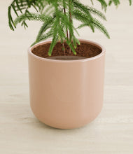 Load image into Gallery viewer, Glossy Pink stand:all