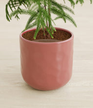 Load image into Gallery viewer, Hammered Rose Pink stand:all